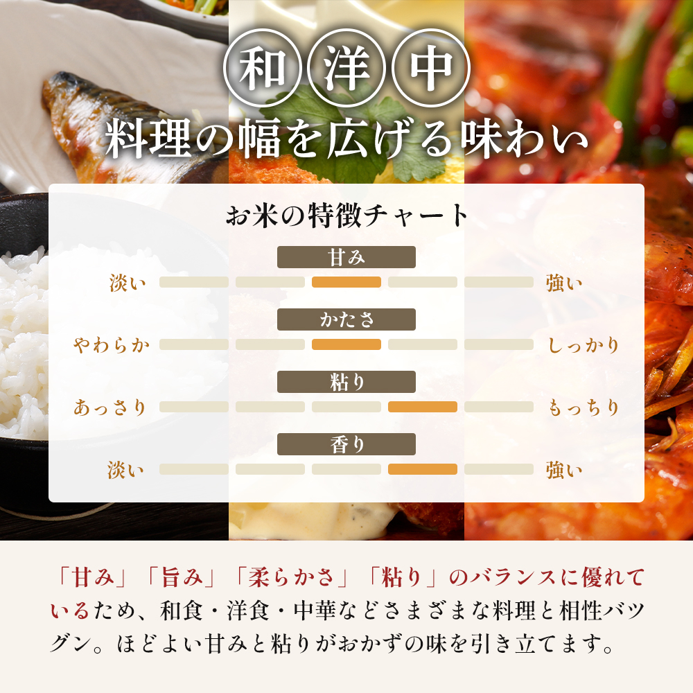 令和8年産 新米 ひとめぼれ 10kg ( 5kg × 2袋 ) 6ヵ月 定期便 先行予約 米 お米 白米 精米 こめ コメ 令和8年 宮城県産