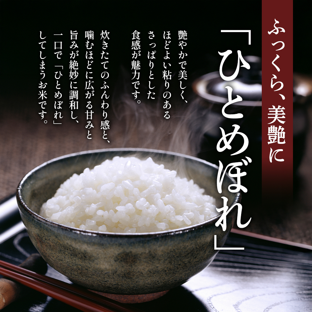 令和8年産 新米 ひとめぼれ 5kg 3ヵ月 定期便 先行予約 米 お米 白米 精米 こめ コメ 令和8年 宮城県産