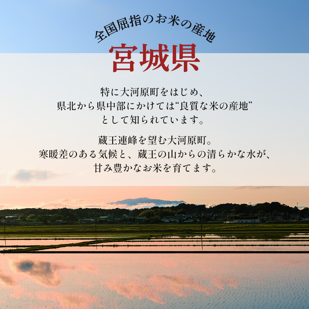 令和8年産 新米 ひとめぼれ 5kg 3ヵ月 定期便 先行予約 米 お米 白米 精米 こめ コメ 令和8年 宮城県産