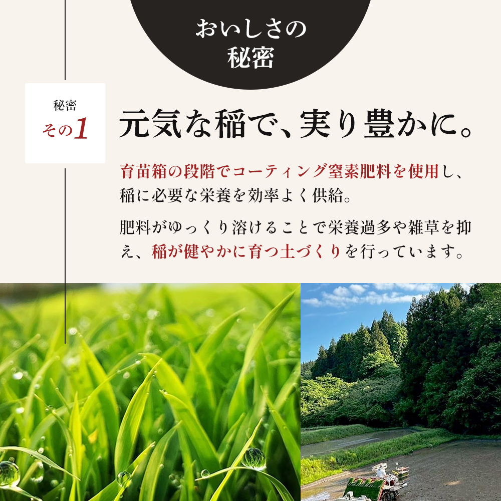 令和8年産 新米 ひとめぼれ 3kg 3ヵ月 定期便 先行予約 米 お米 白米 精米 こめ コメ 令和8年 宮城県産