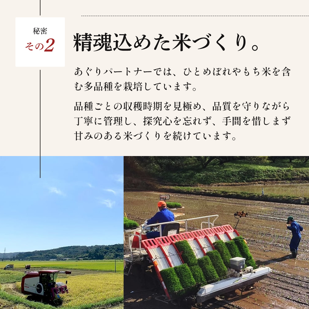 令和8年産 新米 ひとめぼれ 3kg 6ヵ月 定期便 先行予約 米 お米 白米 精米 こめ コメ 令和8年 宮城県産