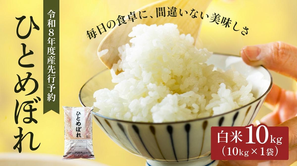 令和8年産 新米 ひとめぼれ 10kg 先行予約 米 お米 白米 精米 こめ コメ 令和8年 宮城県産