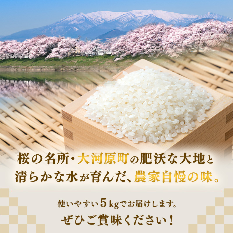 まなむすめ 5kg×2袋 令和8年産 新米 先行予約 宮城県産 精米 白米 米 コメ お米 おこめ ブランド米 ご飯 ごはん 