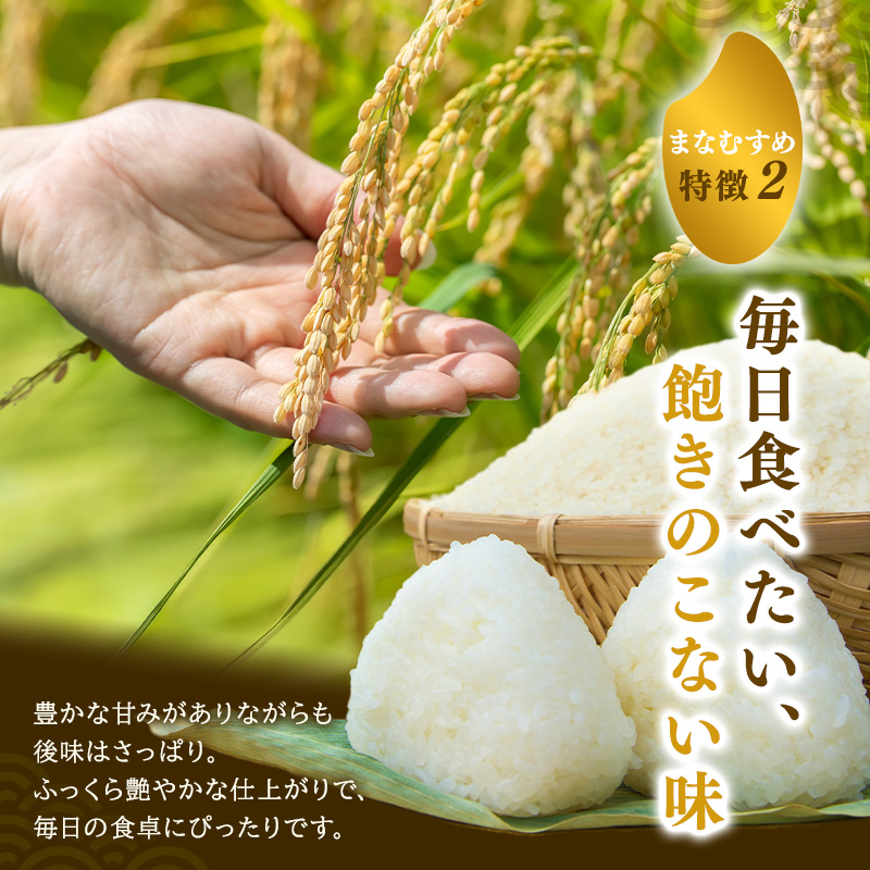 まなむすめ 定期便3回/5kg×2袋 令和8年産 新米 先行予約 宮城県産 米 精米 白米 米 コメ お米 おこめ ブランド米 ご飯 ごはん