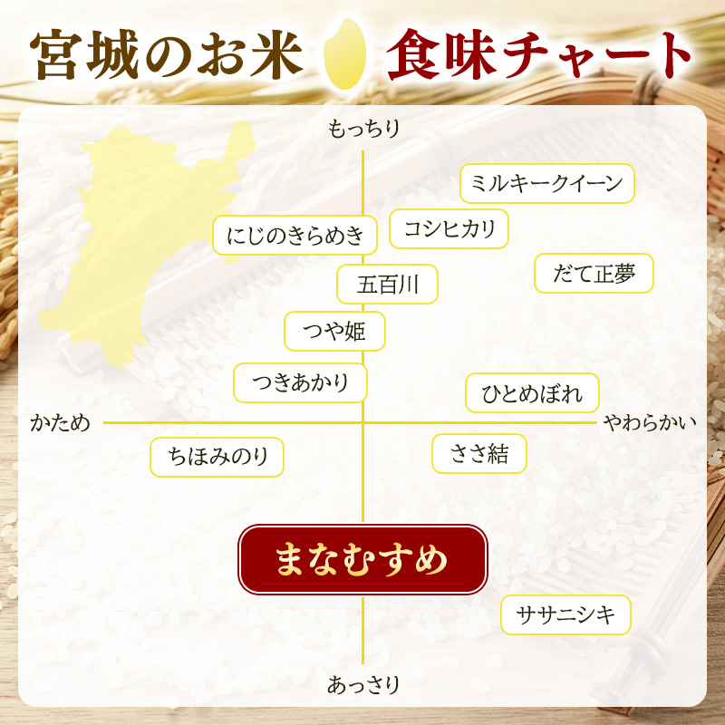 まなむすめ 定期便12回/5kg×2袋 令和8年産 新米 先行予約 宮城県産 米 精米 白米 米 コメ お米 おこめ ブランド米 ご飯 ごはん