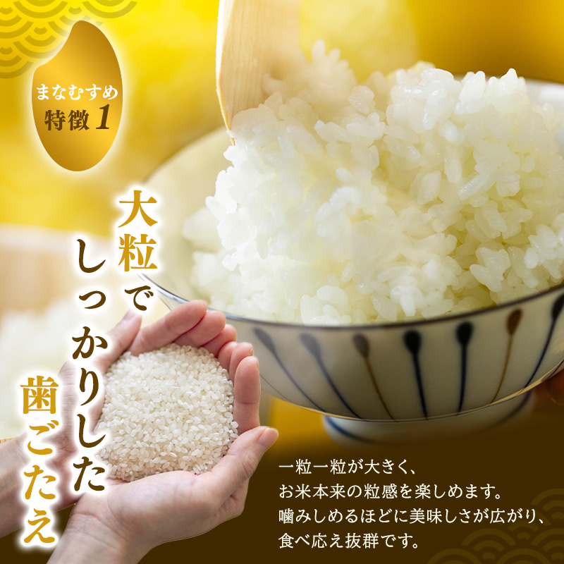 まなむすめ 定期便2回/5kg×1袋 令和8年産 新米先行予約 宮城県産 米 精米 白米 米 コメ お米 おこめ ブランド米 ご飯 ごはん