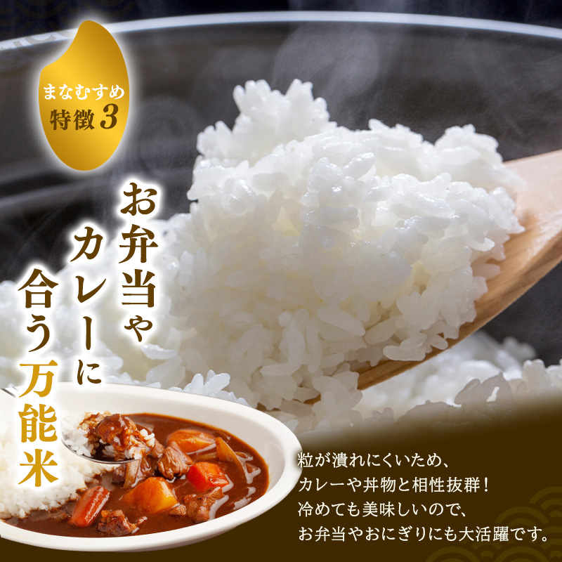 まなむすめ 定期便2回/5kg×1袋 令和8年産 新米先行予約 宮城県産 米 精米 白米 米 コメ お米 おこめ ブランド米 ご飯 ごはん