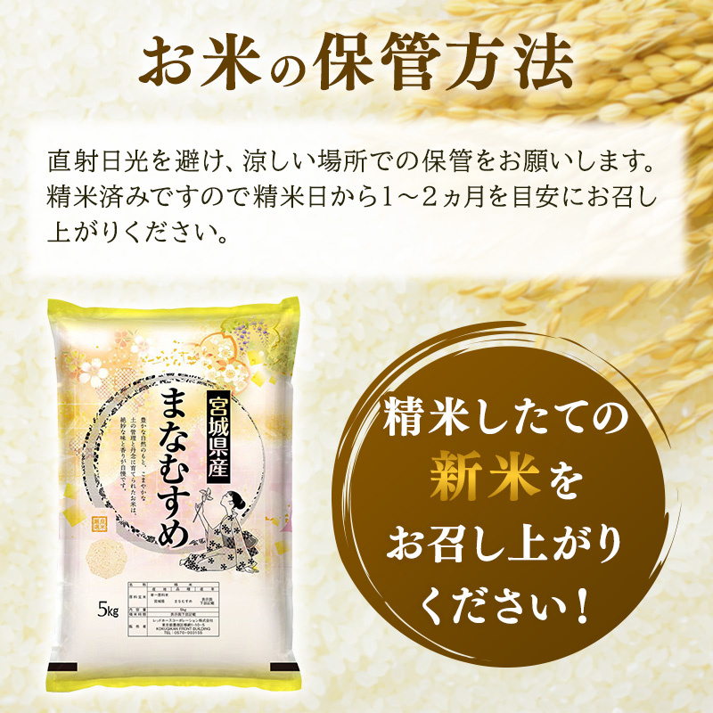 まなむすめ 定期便6回/5kg×1袋 令和8年産 新米先行予約 宮城県産 米 精米 白米 米 コメ お米 おこめ ブランド米 ご飯 ごはん