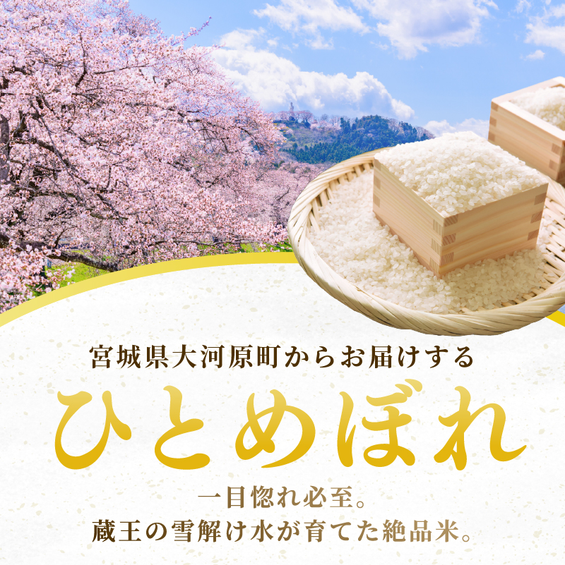 ひとめぼれ 定期便6回/5kg×1袋 令和8年産 新米 先行予約 宮城県産 米 精米 白米