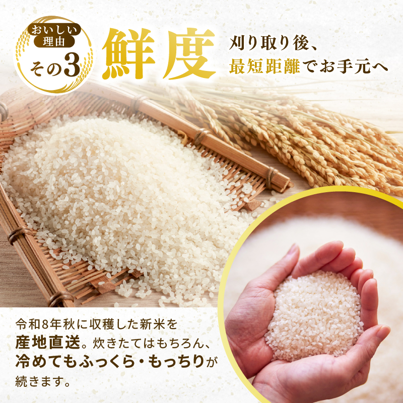 ひとめぼれ 定期便2回/5kg×2袋 令和8年産 新米 先行予約 宮城県産 米 精米 白米