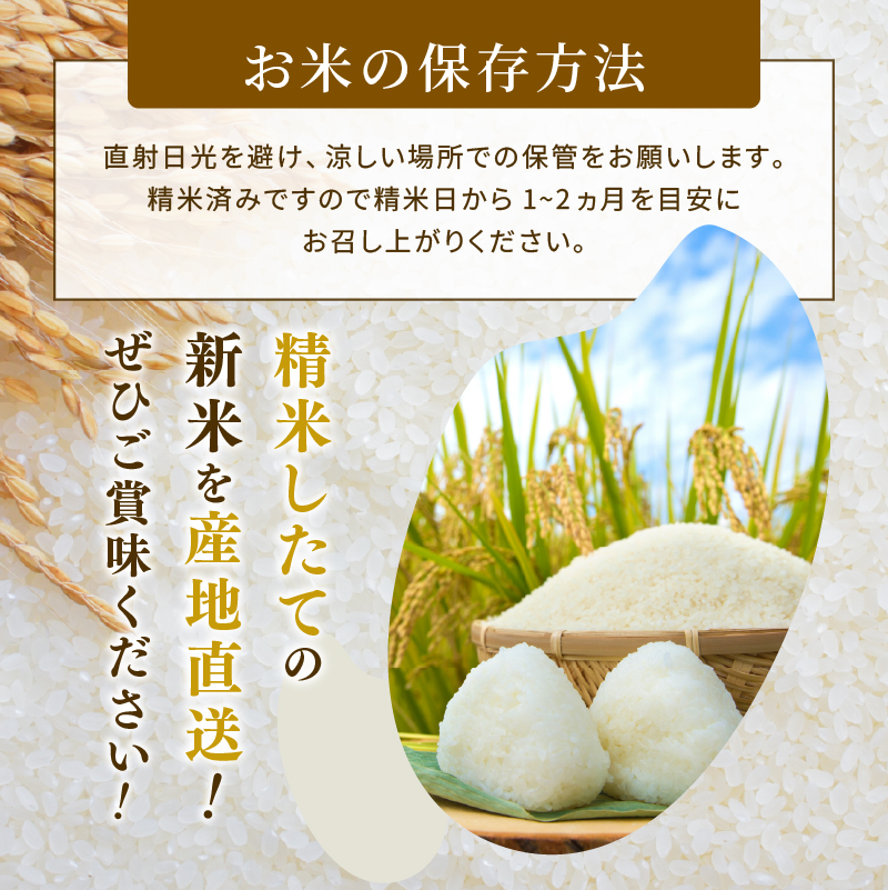 ひとめぼれ 定期便2回/5kg×2袋 令和8年産 新米 先行予約 宮城県産 米 精米 白米