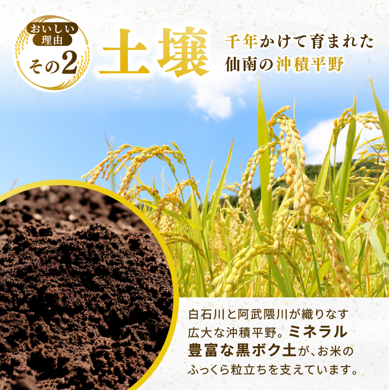 ひとめぼれ 定期便3回/5kg×2袋 令和8年産 新米 先行予約 宮城県産 米 精米 白米