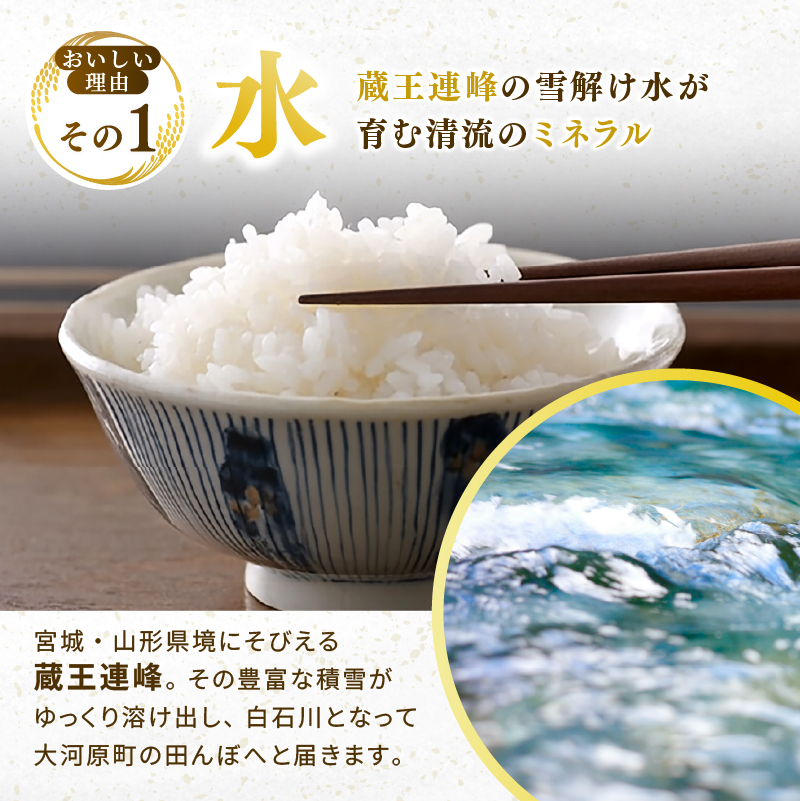 ひとめぼれ 定期便12回/5kg×2袋 令和8年産 新米 先行予約 宮城県産 米 精米 白米