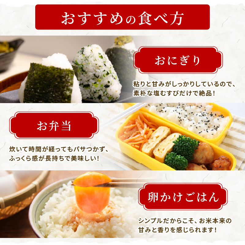 ひとめぼれ 定期便12回/5kg×2袋 令和8年産 新米 先行予約 宮城県産 米 精米 白米