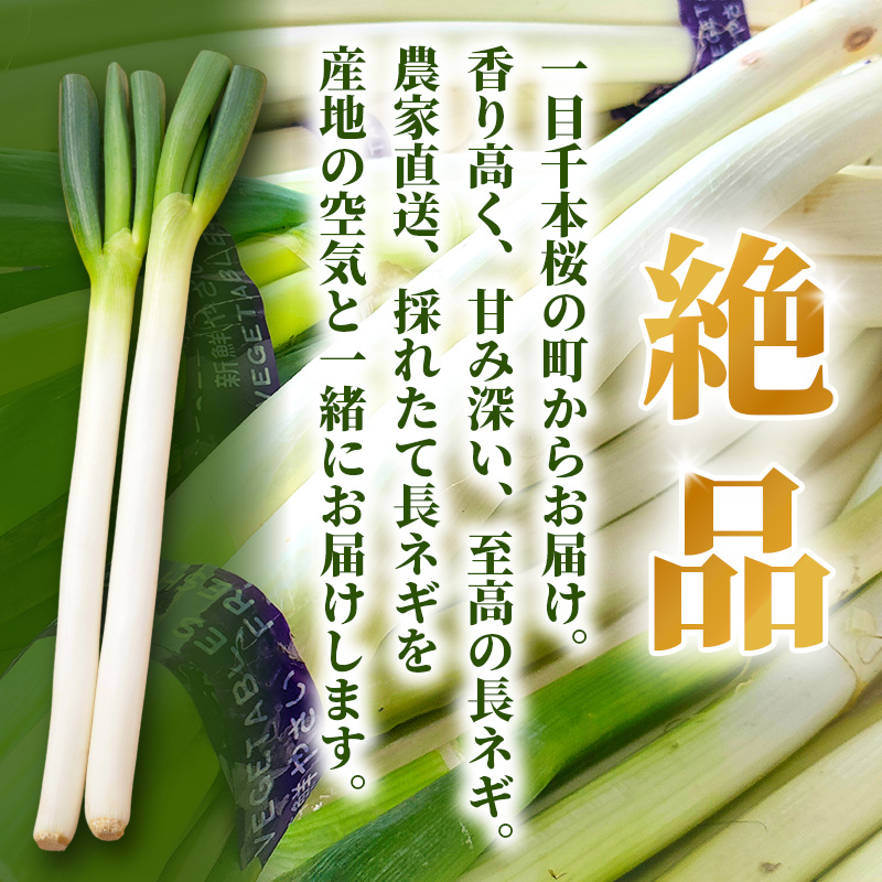 髟キ縺ュ縺 邏5kg 譁ー魄ョ 驥手除 縺ュ縺 闡ア 驥手除 繧縺輔> 譁ー魄ョ 骰 阮ャ蜻ウ 辟シ縺阪ロ繧ョ 讌ュ蜍咏畑 螳カ蠎ュ逕ィ 螳ョ蝓守恁 螟ァ豐ウ蜴溽伴