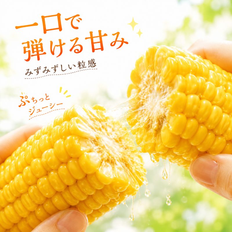 ãšããããã ãµããŒã·ã§ã³ã©ã©ã€ã© çŽ5kg (10æ¬ååŸ) å·èµäŸ¿ ææ¡ã ã¹ã€ãŒãã³ãŒã³ ããŠã¢ãã³ã· ç£çŽ ç£å°çŽé