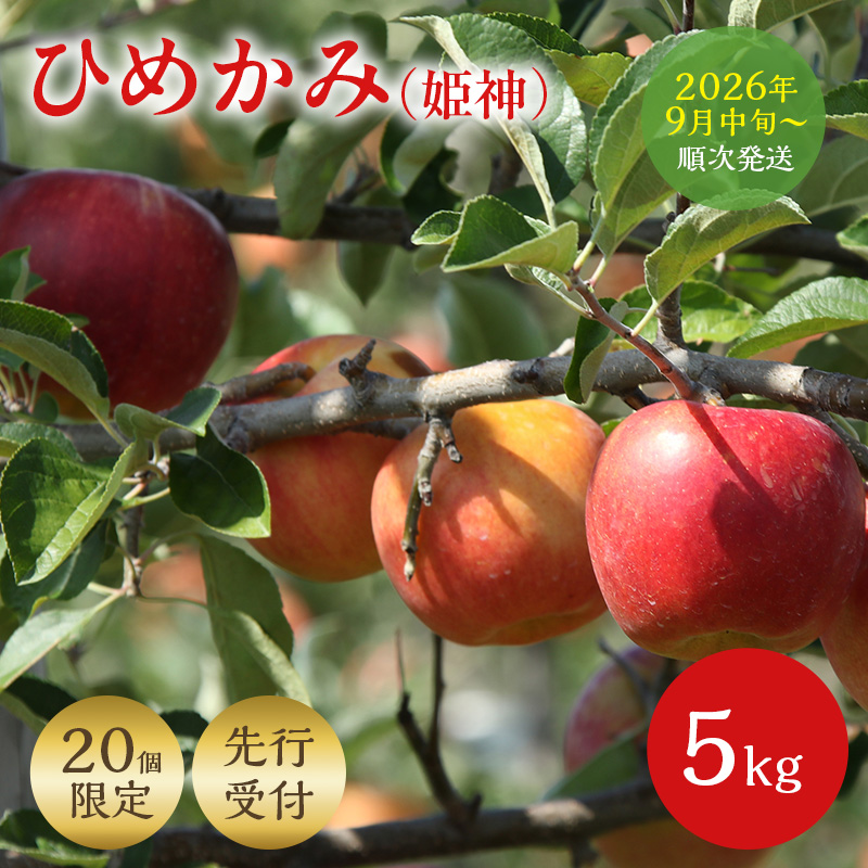 ＜先行予約＞ 早期発送 りんご ひめかみ 5kg 早生 旬 果物 フルーツ リンゴ 林檎 アップル くだもの 宮城県 大河原町 数量限定 送料無料