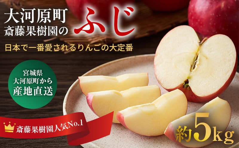 人気No.1 りんご ふじ 5kg 果物 フルーツ 先行予約 単品 定番 宮城県 大河原町 リンゴ 林檎 くだもの 大容量 送料無料