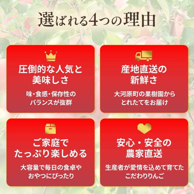 人気No.1 りんご ふじ 5kg 果物 フルーツ 先行予約 単品 定番 宮城県 大河原町 リンゴ 林檎 くだもの 大容量 送料無料