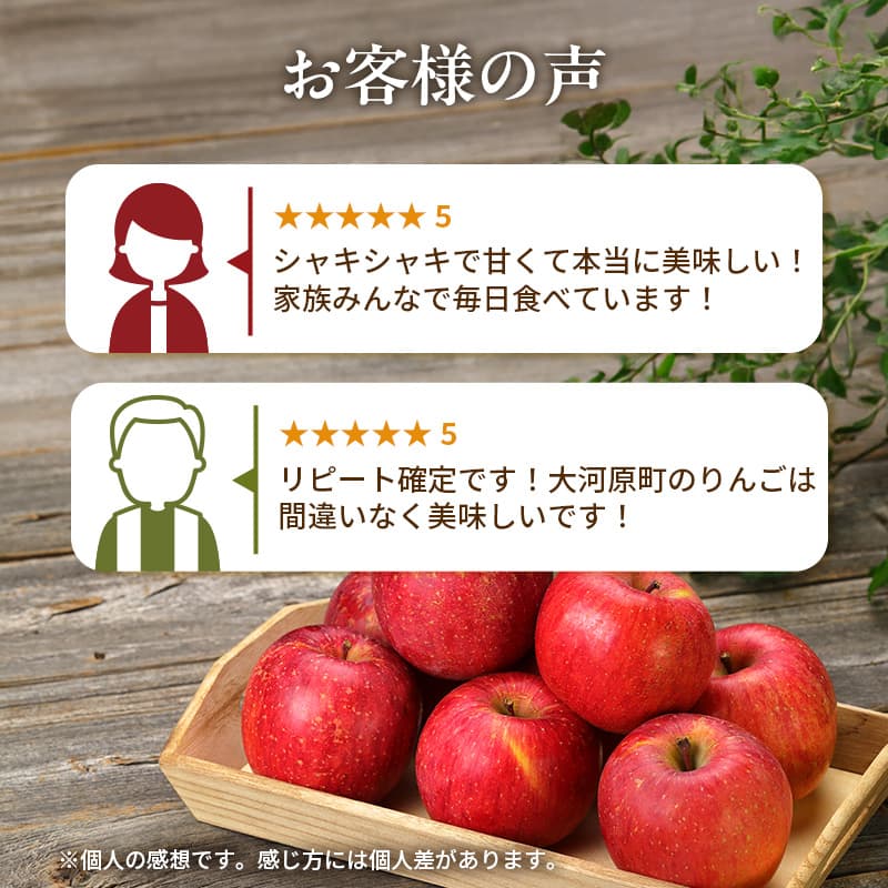 人気No.1 りんご ふじ 5kg 果物 フルーツ 先行予約 単品 定番 宮城県 大河原町 リンゴ 林檎 くだもの 大容量 送料無料