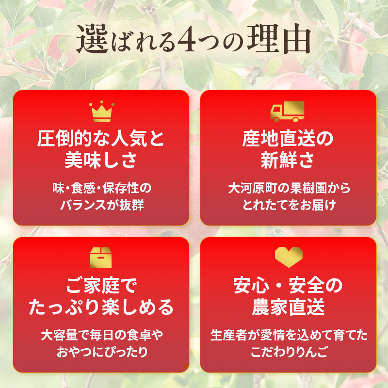 人気No.1 りんご ふじ 10kg 果物 フルーツ 先行予約 単品 定番 宮城県 大河原町 リンゴ 林檎 くだもの 大容量 送料無料