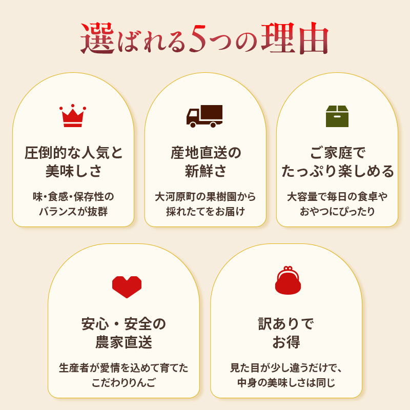 人気No.1 りんご ふじ 10kg 果物 フルーツ 先行予約 単品 定番 宮城県 大河原町 リンゴ 林檎 くだもの 大容量 送料無料