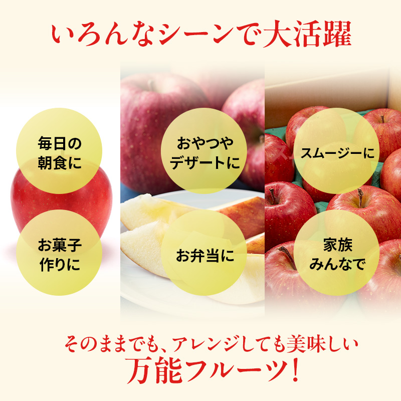 人気No.1 りんご ふじ 10kg 果物 フルーツ 先行予約 単品 定番 宮城県 大河原町 リンゴ 林檎 くだもの 大容量 送料無料