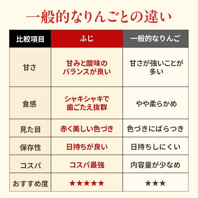 人気No.1 りんご ふじ 10kg 果物 フルーツ 先行予約 単品 定番 宮城県 大河原町 リンゴ 林檎 くだもの 大容量 送料無料