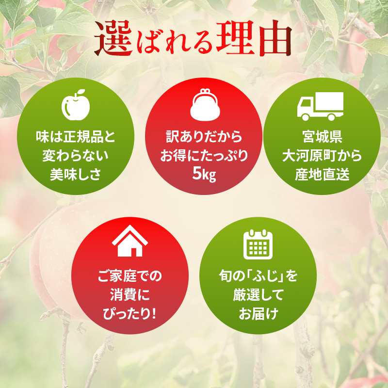 りんご ふじ 訳あり 5kg 果物 フルーツ わけあり 不揃い 規格外 ご家庭用 宮城県 大河原町 産地直送 林檎 リンゴ くだもの 先行予約 送料無料
