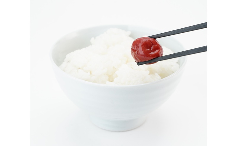 大河原産 昔ながらのすっぱいしそ梅干し 270g 20個セット ご飯のお供に 梅干し 梅干 うめぼし ウメボシ 梅 ごはんのお供 ご飯のお供 おにぎり 弁当 お弁当