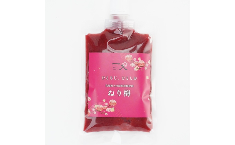 大河原産 昔ながらのねり梅 160g 10袋セット お弁当や和え物に ねり梅 練り梅 練梅 梅干し 梅干 うめぼし ウメボシ 梅 おにぎり 弁当 お弁当