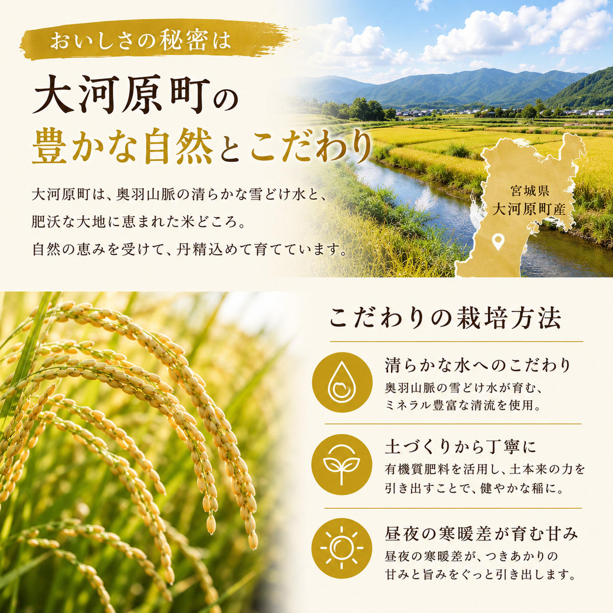 つきあかり 定期便 11回/5kg×1袋 令和8年産 新米 ブランド米 白米 精米 【小分け】 宮城県大河原町産