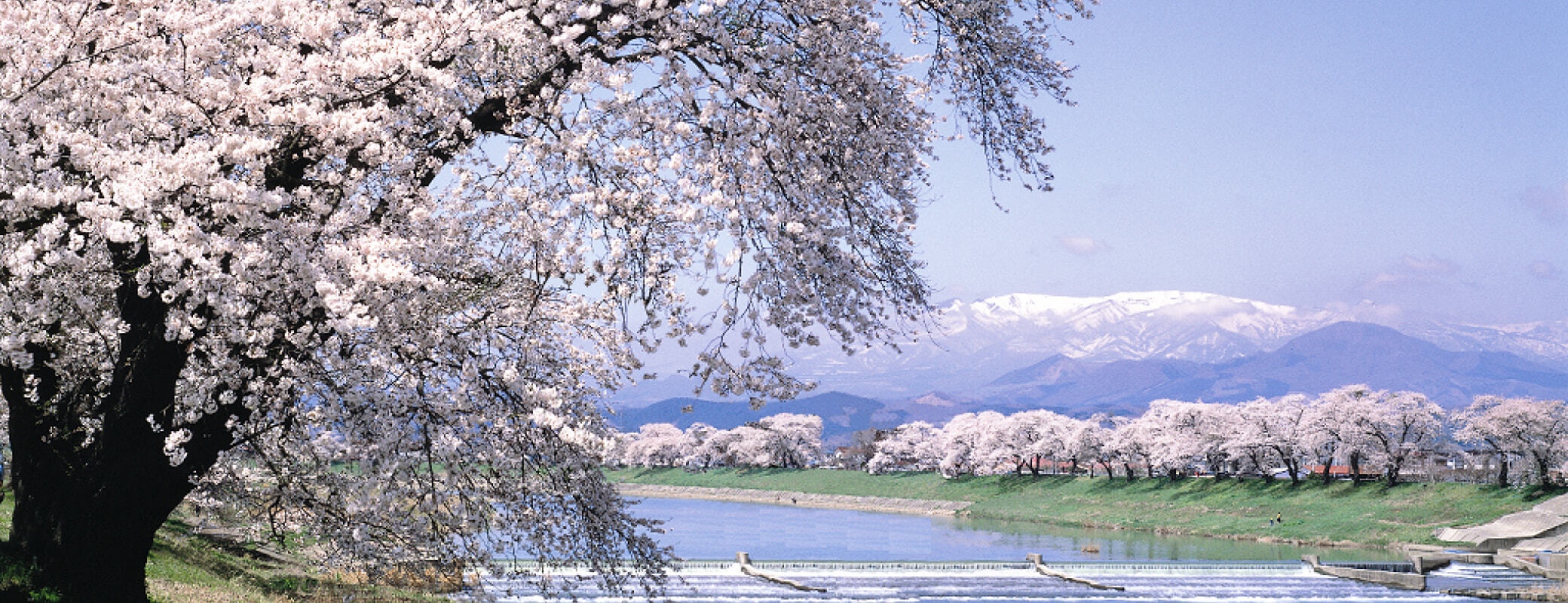 宮城県大河原町