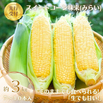 【先行受付2025年】とうもろこし味来(みらい　約3.0kg)　数量限定【配送不可地域：離島】【1451274】