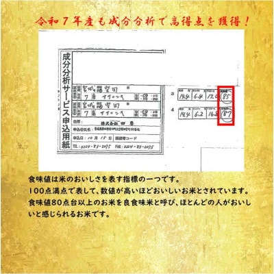 令和7年産 ササニシキ 精米10kg(5kg×2) 宮城県産【1691459】