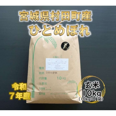 令和7年産 ひとめぼれ 玄米10kg 宮城県村田町産【1545917】