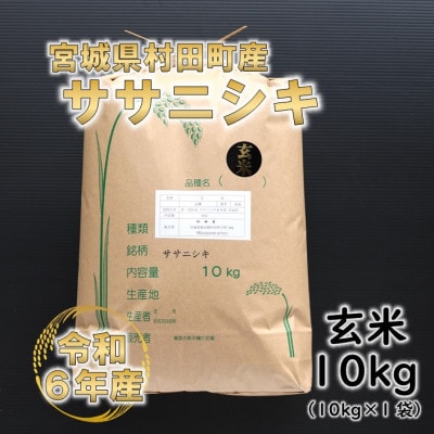 令和6年産 ササニシキ 玄米10kg(10kg×1) 宮城県村田町産【1576559】