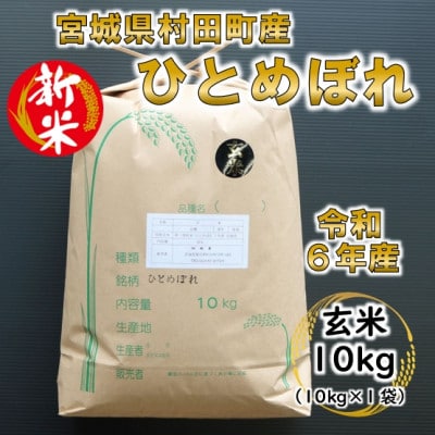 【新米】令和6年産 ひとめぼれ 玄米10kg 宮城県村田町産【1545917】