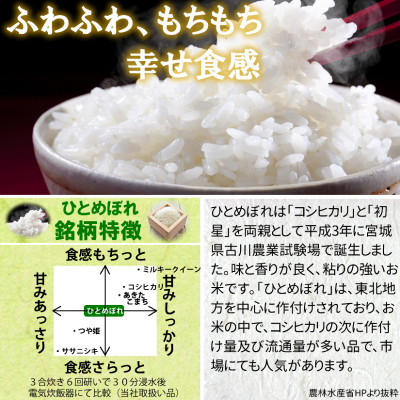 令和5年産　宮城県産ひとめぼれ 玄米10kg【配送不可地域：離島】【1276617】