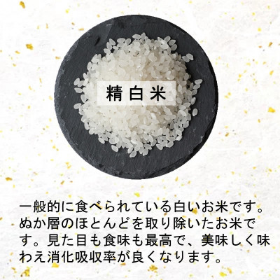 令和6年産　宮城県産ひとめぼれ 精米10kg【1552382】