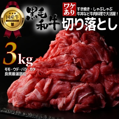 【訳あり】宮城県産黒毛和牛 3.0kg(500g×6)部位厳選切り落とし すき焼き・しゃぶしゃぶ用【配送不可地域：離島】【1571150】