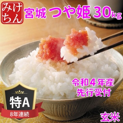 ◆令和4年産　宮城県産つや姫 玄米30kg　◆9年連続最高評価特A受賞【1339297】