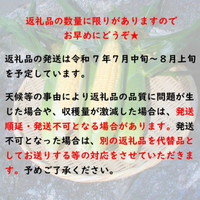 【先行受付2025年】とうもろこし　ドルチェドリーム　約3.0kg　数量限定【配送不可地域：離島】【1451276】