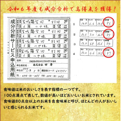 【新米】令和6年産 つや姫 精米10kg(5kg×2) 宮城県村田町産【1241455】