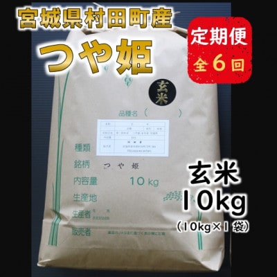 【毎月定期便】宮城県村田町産つや姫　玄米10kg(10kg×1)全6回【4060610】