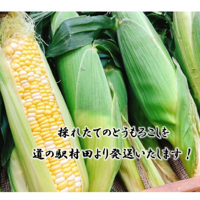 ãå
è¡åä»2026幎ããšãããããããã«ãã§ããªãŒã ãçŽ3.0kgãæ°ééå®ãé
éäžå¯å°åïŒé¢å³¶ãã1451276ã