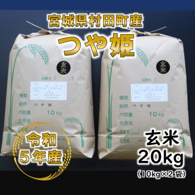 令和5年産 つや姫 玄米20kg(10kg×2) 宮城県産【1362858】