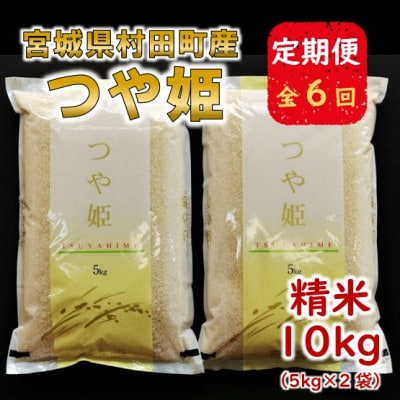 【毎月定期便】宮城県村田町産つや姫　精米10kg(5kg×2)全6回【4057692】