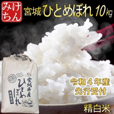 ◆令和4年産　宮城県産ひとめぼれ 精米10kg【1339288】