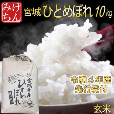 ◆令和4年産　宮城県産ひとめぼれ 玄米10kg【1339290】